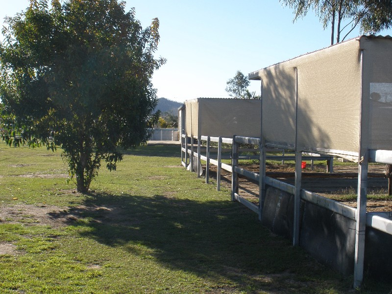 Kabra QLD 4702