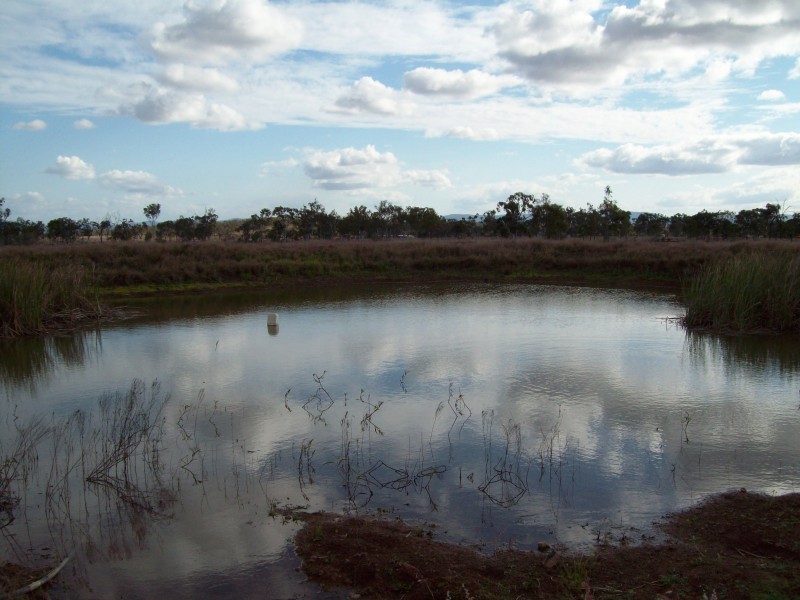 Alton Downs QLD 4702