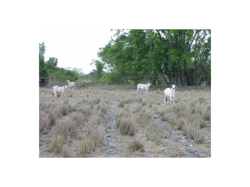 25 GOLD ESCORT RD, Kabra QLD 4702