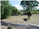 4534 Capricorn Highway, Westwood QLD 4702