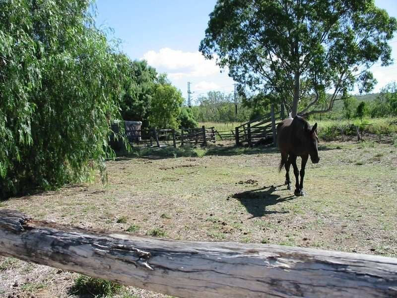 4534 Capricorn Highway, Westwood QLD 4702