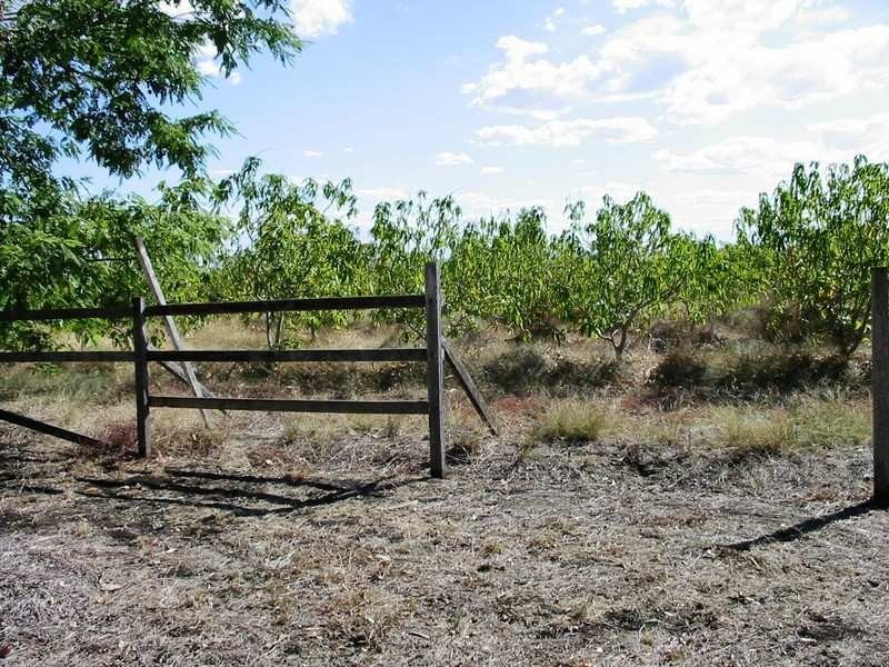 71 HARNSWORTH RD, Alton Downs QLD 4702