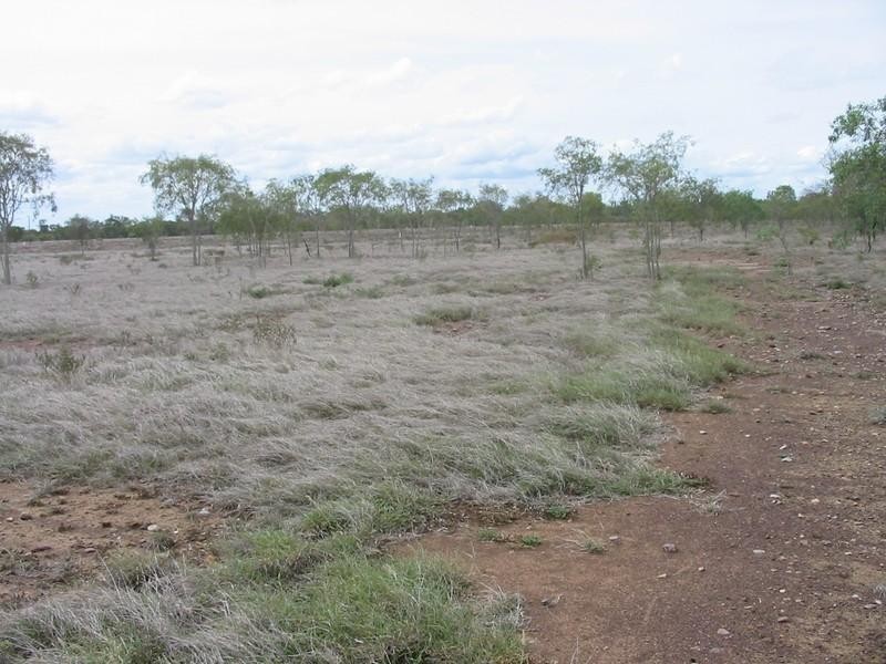 Alton Downs QLD 4702