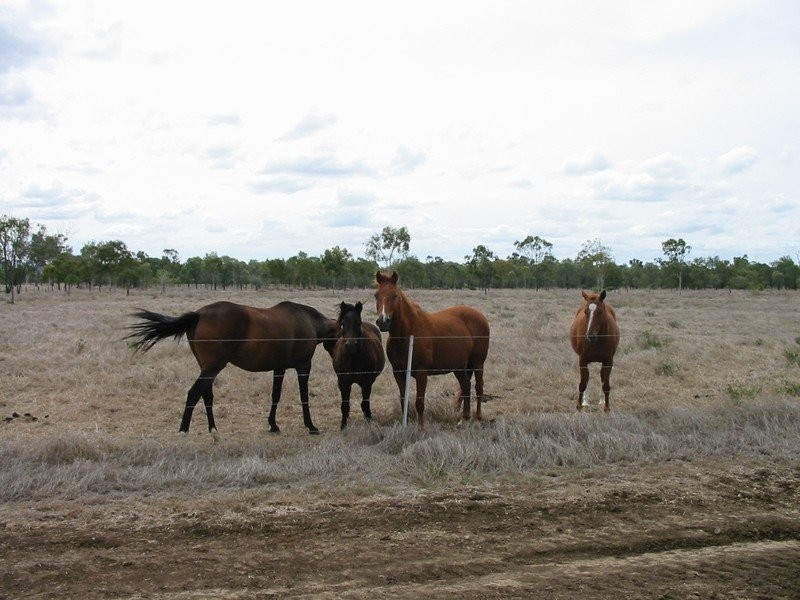 Alton Downs QLD 4702