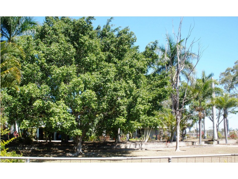 Bouldercombe QLD 4702