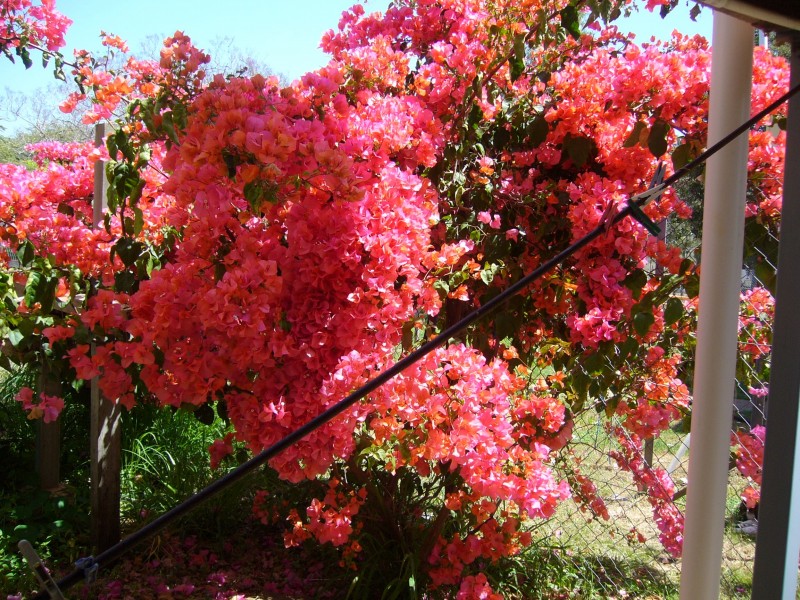 Mount Morgan QLD 4714