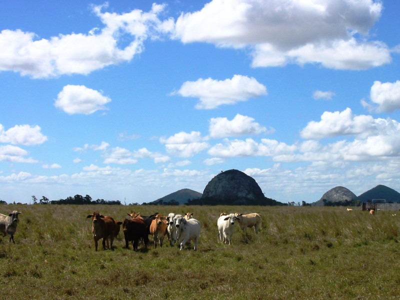 Mulara QLD 4703