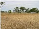 Gracemere QLD 4702