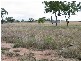 Gracemere QLD 4702