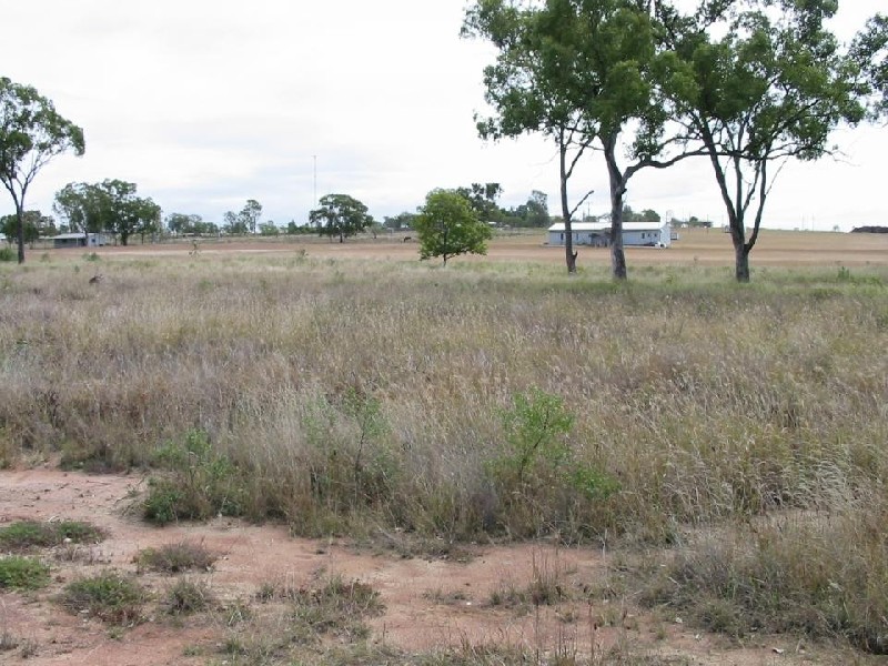 Gracemere QLD 4702