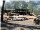 Struck Oil QLD 4714
