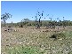 Westwood QLD 4702
