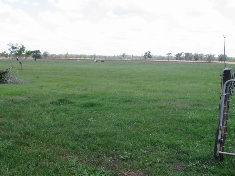 633 Alton Downs- Nine Mile Rd, Alton Downs QLD 4702