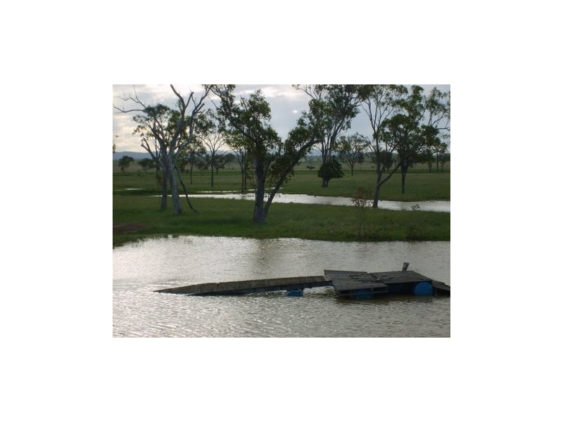 633 Alton Downs- Nine Mile Rd, Alton Downs QLD 4702