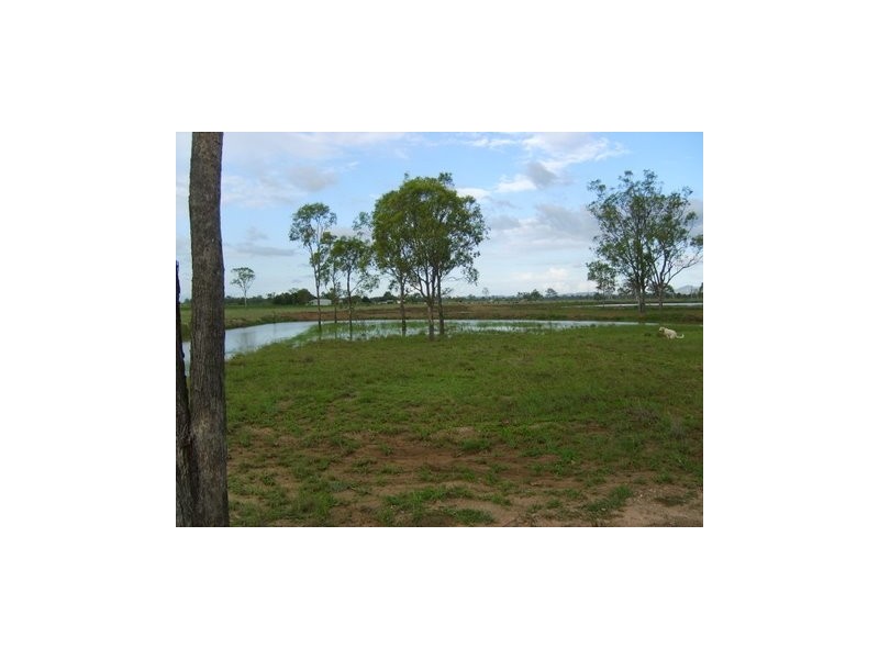 633 Alton Downs- Nine Mile Rd, Alton Downs QLD 4702