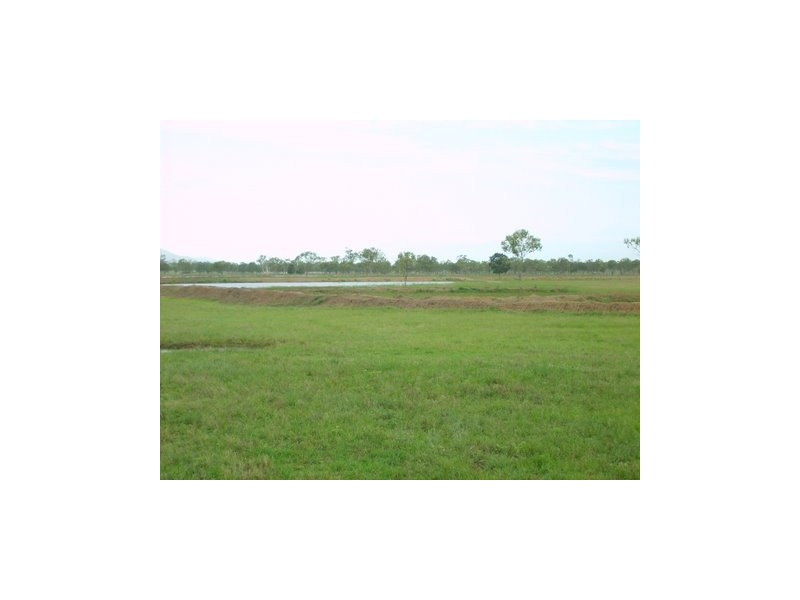 633 Alton Downs- Nine Mile Rd, Alton Downs QLD 4702