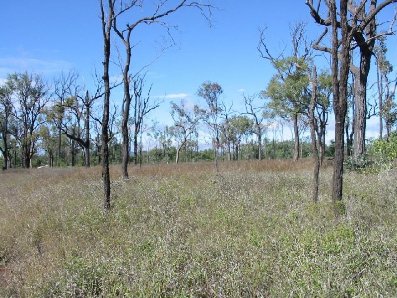 Gracemere QLD 4702