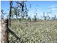 Gracemere QLD 4702