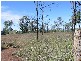 Gracemere QLD 4702