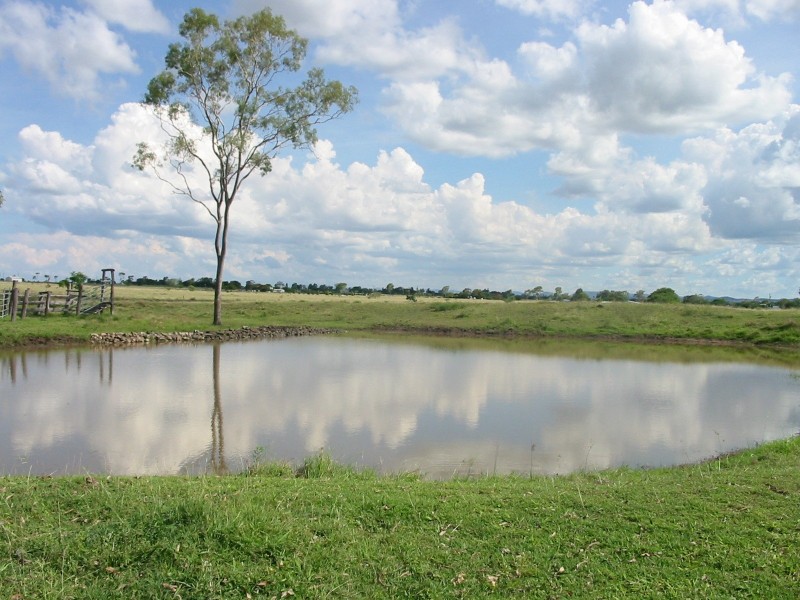 80 South Yaamba Rd, Alton Downs QLD 4702