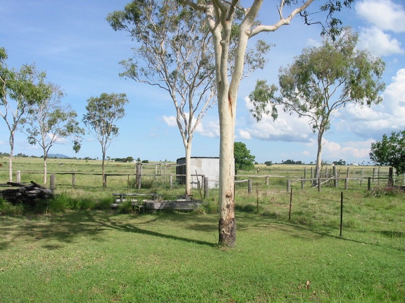 80 South Yaamba Rd, Alton Downs QLD 4702