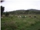 Rockhampton QLD 4700