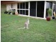 Rockhampton QLD 4700