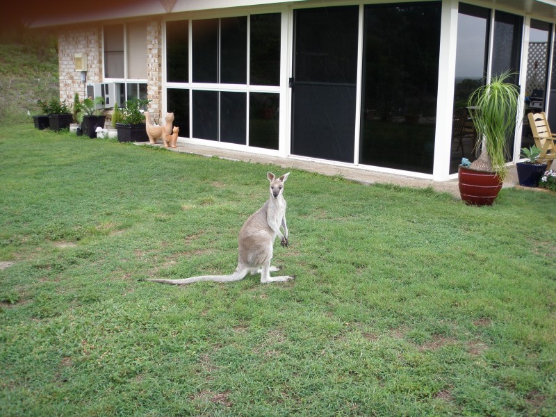 Rockhampton QLD 4700