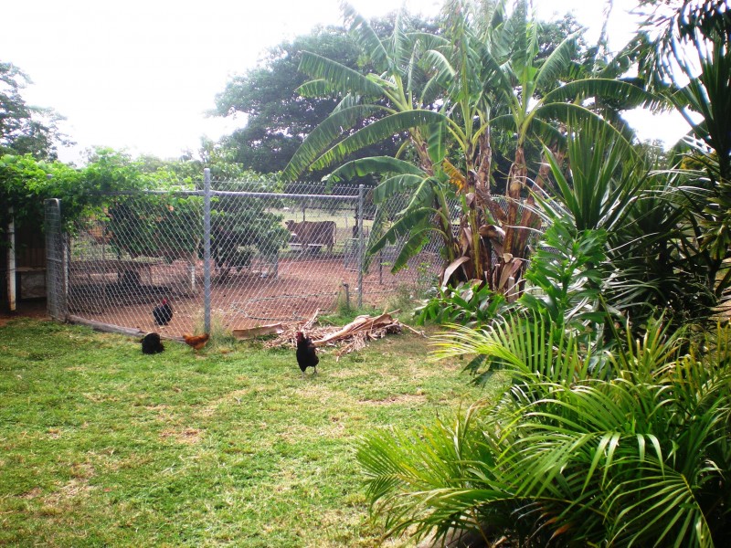 Bouldercombe QLD 4702