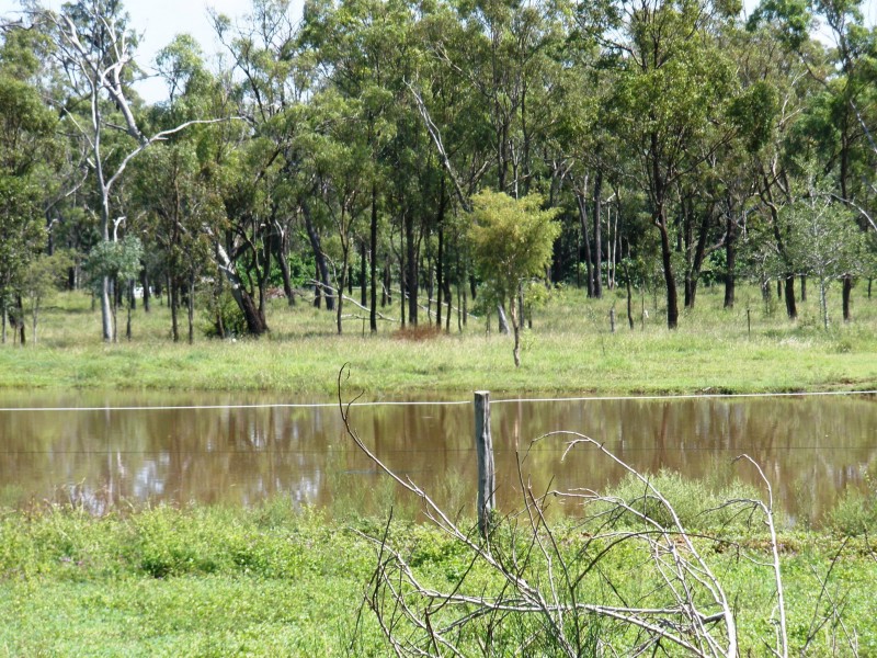Alton Downs QLD 4702