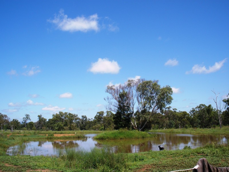 Alton Downs QLD 4702