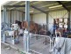 Alton Downs QLD 4702