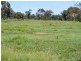 Alton Downs QLD 4702