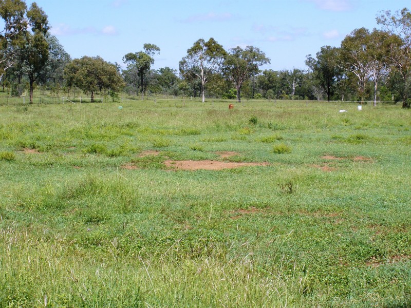 Alton Downs QLD 4702
