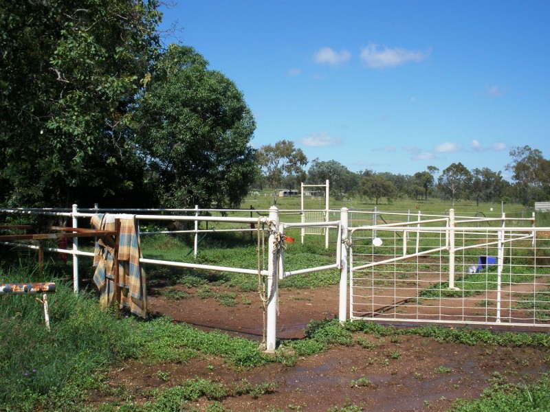 Alton Downs QLD 4702