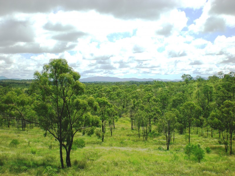 Bouldercombe QLD 4702