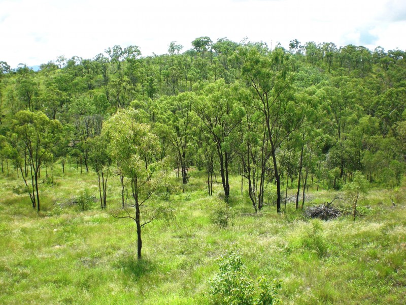 Bouldercombe QLD 4702
