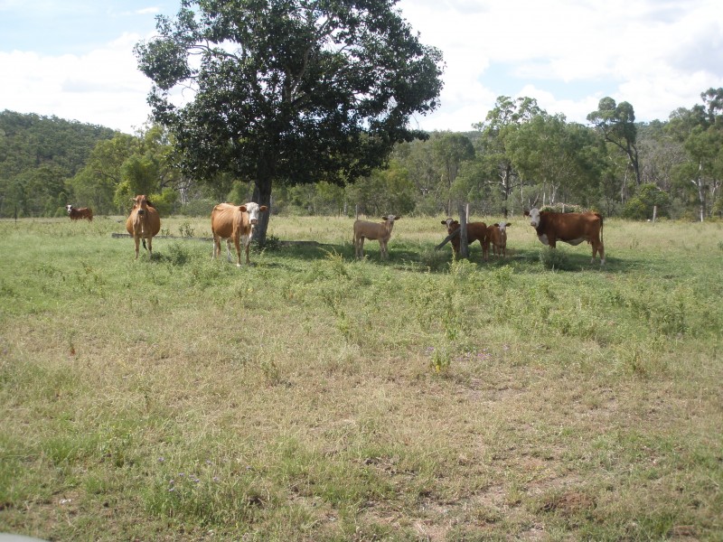 585 OAKEY CREEK RD, Boulder Creek QLD 4714