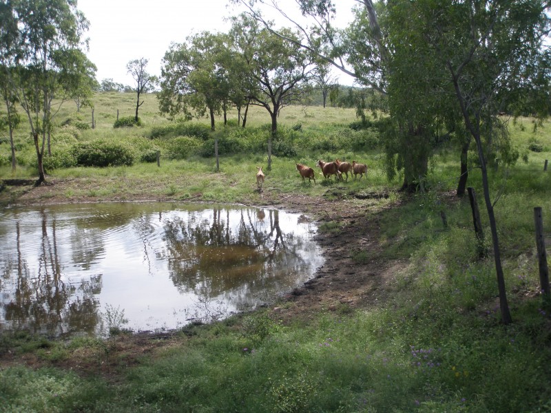 585 OAKEY CREEK RD, Boulder Creek QLD 4714