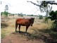 Gracemere QLD 4702