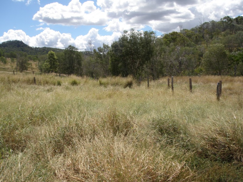 Moongan QLD 4714