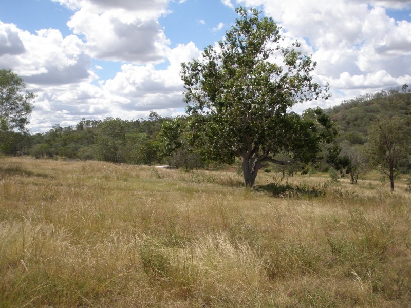 Moongan QLD 4714