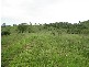 Raglan QLD 4697