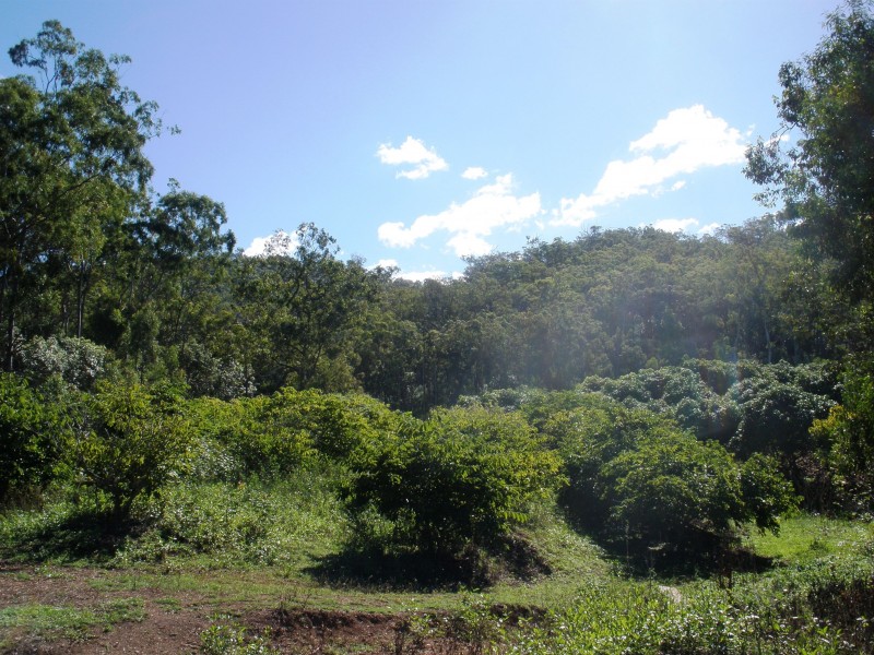 44 Clinton Road, Cawarral QLD 4702
