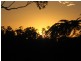 44 Clinton Road, Cawarral QLD 4702