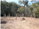 44 Clinton Road, Cawarral QLD 4702