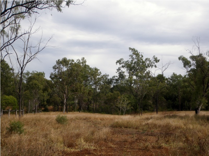 72 Black Gin Rd, Alton Downs QLD 4702