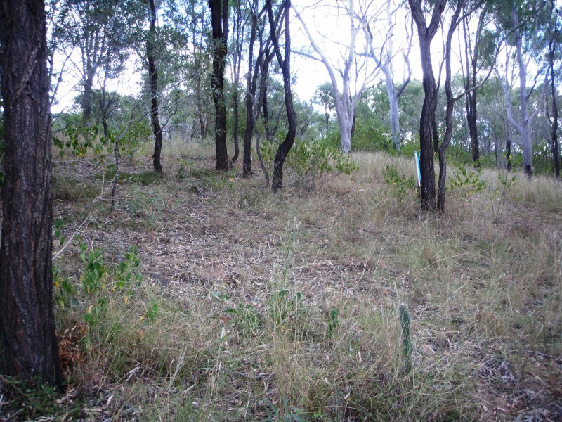 Mount Morgan QLD 4714