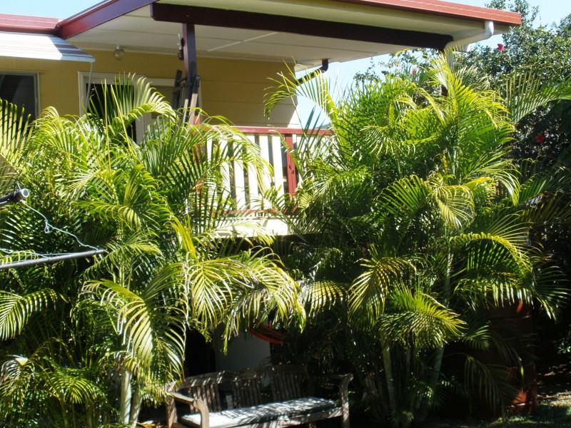 325  Pain street, Koongal QLD 4701
