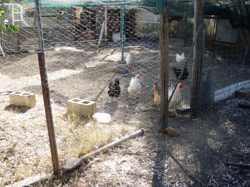 10 SHOWGROUNDS RD, Mount Morgan QLD 4714